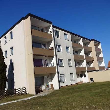 Ferienwohnung "Sonnenschein" 泽尔布 外观 照片